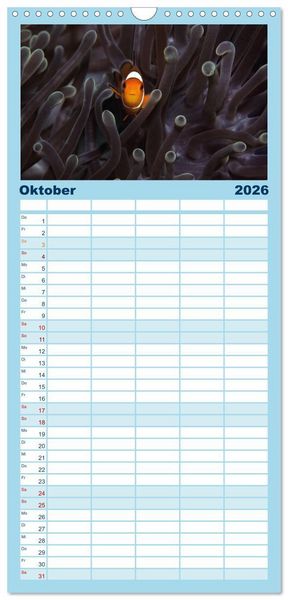 Produktbild: Familienplaner 2026 - Tauchen, Fische und Meer mit 5 Spalten (Wandkalender, 21 x 45 cm) CALVENDO
