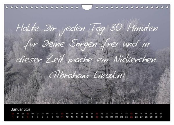 Produktbild: Positiv durch&acute;s Jahr (Wandkalender 2026 DIN A4 quer), CALVENDO Monatskalender