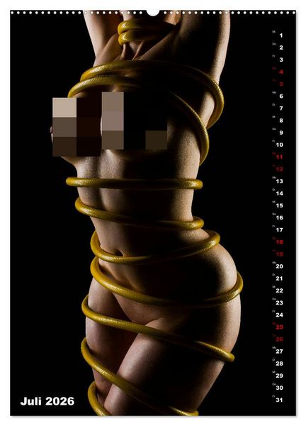 Produktbild: Fesselnde Sch&ouml;nheit (Wandkalender 2026 DIN A2 hoch), CALVENDO Monatskalender
