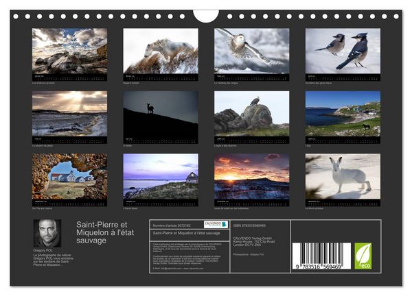 Produktbild: Saint-Pierre et Miquelon &agrave; l'&eacute;tat sauvage (Calendrier mural 2026 DIN A4 vertical), CALVENDO calendrier mensuel