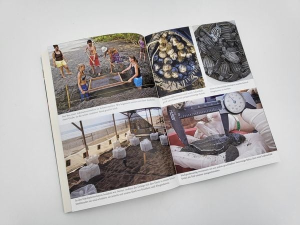 Produktbild: Meine Reise mit den Meeresschildkröten