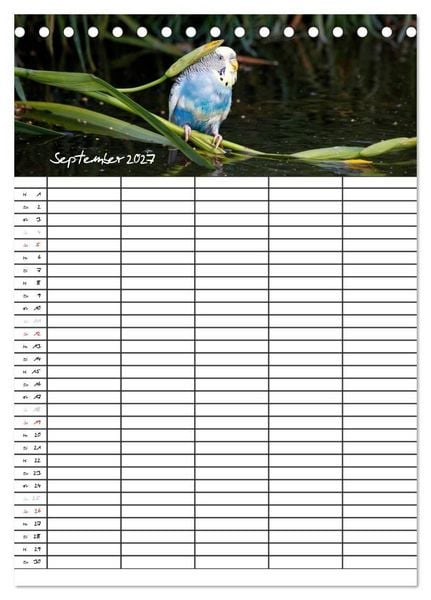 Produktbild: Wellensittiche (Tischkalender 2027 DIN A5 hoch), CALVENDO Monatskalender