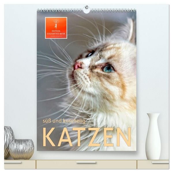 Katzen - süß und kuschelig (hochwertiger Premium Wandkalender 2026 DIN A2 hoch), Kunstdruck in Hochglanz