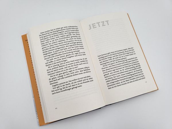 Produktbild: Manchmal fliegen