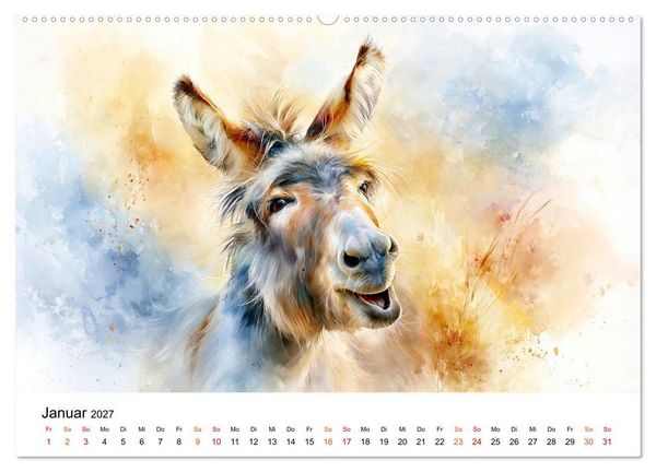 Produktbild: Esel - Wenn Ruhe ein Gesicht h&auml;tte (hochwertiger Premium Wandkalender 2027 DIN A2 quer), Kunstdruck in Hochglanz
