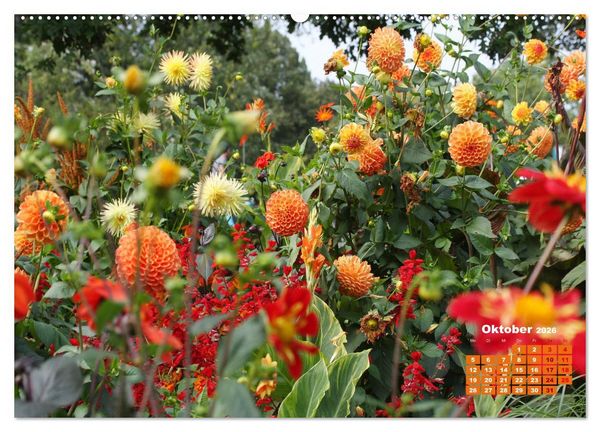 Produktbild: Urlaub im Garten (Wandkalender 2026 DIN A2 quer), CALVENDO Monatskalender