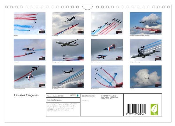 Produktbild: Les ailes fran&ccedil;aises (Calendrier mural 2026 DIN A4 vertical), CALVENDO calendrier mensuel
