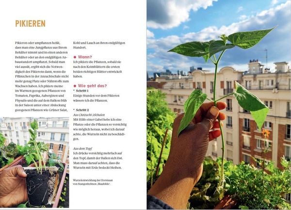 Produktbild: Mein Permakultur-Balkon