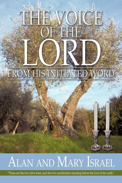 Produktbild: The Voice Of The Lord