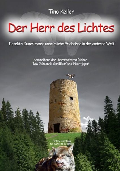 Produktbild: Der Herr des Lichtes