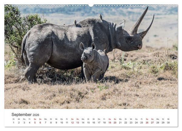 Produktbild: Kenia - Eine Safari durch unber&uuml;hrte Natur. (Wandkalender 2026 DIN A2 quer), CALVENDO Monatskalender