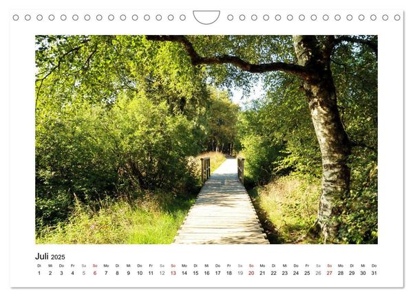 Rotes und Schwarzes Moor (Wandkalender 2025 DIN A4 quer), CALVENDO Monatskalender
