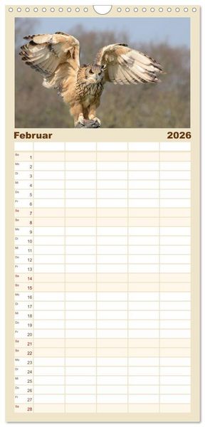 Produktbild: Familienplaner 2026 - Eulen. Gefiederte Weisheit mit 5 Spalten (Wandkalender, 21 x 45 cm) CALVENDO