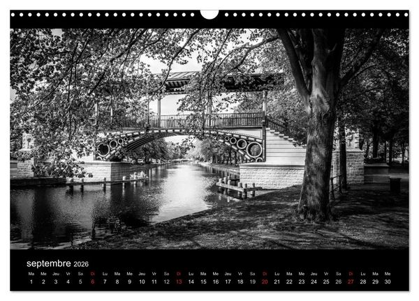 Produktbild: Le Vieux Lille (Calendrier mural 2026 DIN A3 vertical), CALVENDO calendrier mensuel