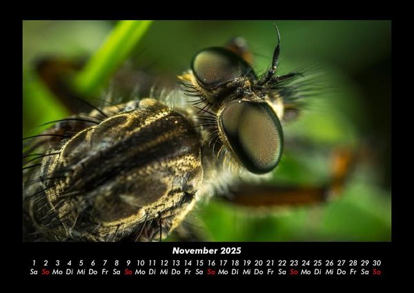 Produktbild: Tierkalender 2025 Fotokalender DIN A3