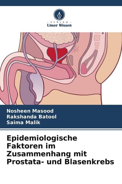 Produktbild: Epidemiologische Faktoren im Zusammenhang mit Prostata- und Blasenkrebs