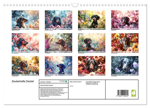 Produktbild: Zauberhafte Dackel (Wandkalender 2026 DIN A3 quer), CALVENDO Monatskalender