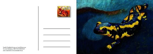 Produktbild: Von den Waldtieren &ndash; Ein Postkartenbuch