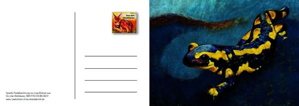 Produktbild: Von den Waldtieren &ndash; Ein Postkartenbuch