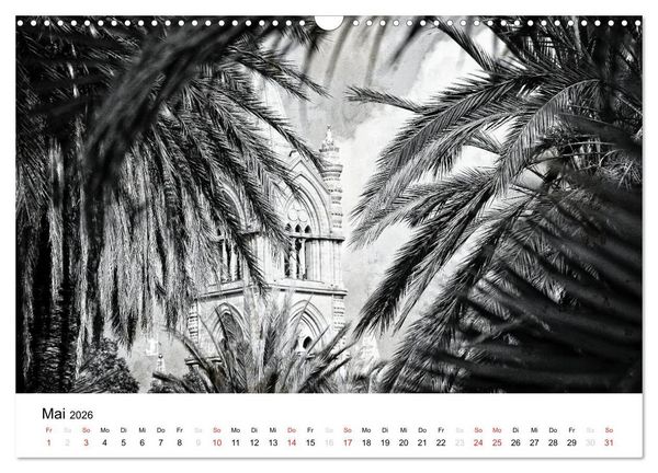 Produktbild: Silberstein portr&auml;tiert Palermo (Wandkalender 2026 DIN A3 quer), CALVENDO Monatskalender
