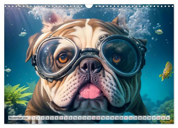 Produktbild: Hunde abgetaucht (Wandkalender 2026 DIN A3 quer), CALVENDO Monatskalender