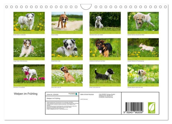 Produktbild: Welpen im Fr&uuml;hling (Wandkalender 2026 DIN A4 quer), CALVENDO Monatskalender