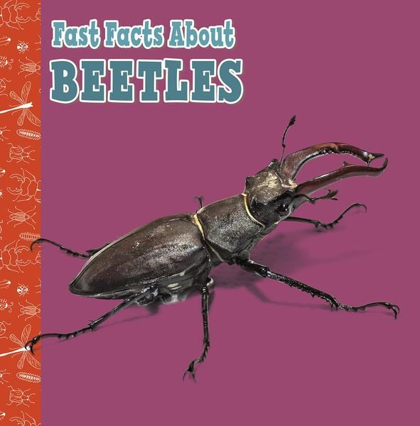 Produktbild: Fast Facts About Beetles