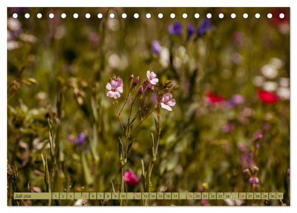 Produktbild: Wildwuchs 2026 (Tischkalender 2026 DIN A5 quer), CALVENDO Monatskalender