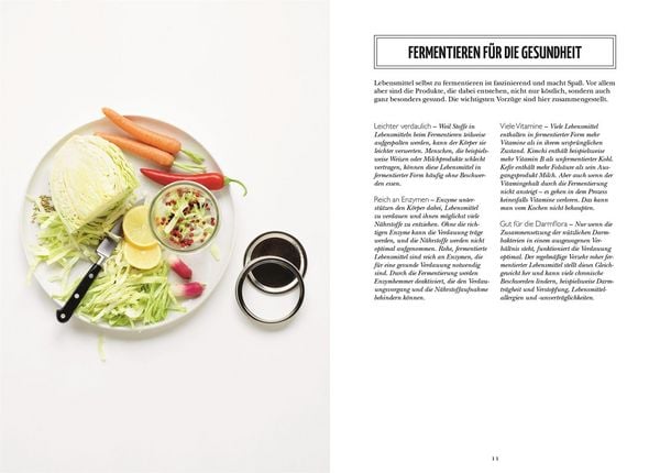 Produktbild: Fermentieren