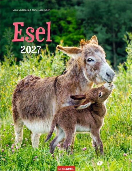 Produktbild: Esel Kalender 2027