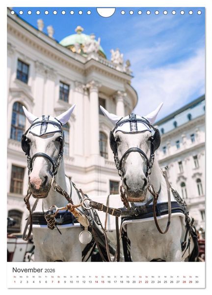 Produktbild: Ach du sch&ouml;nes Wien (Wandkalender 2026 DIN A4 hoch), CALVENDO Monatskalender