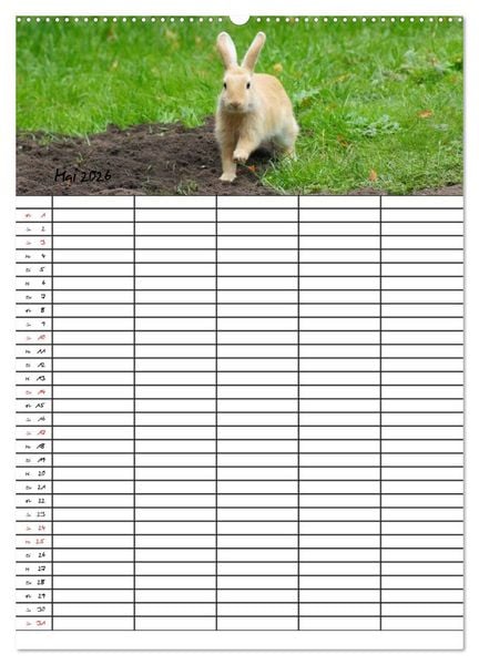Produktbild: Meerschweinchen und Kaninchen Familienplaner (hochwertiger Premium Wandkalender 2026 DIN A2 hoch), Kunstdruck in Hochglanz