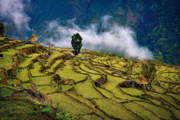 Produktbild: The Great Himalaya Trail