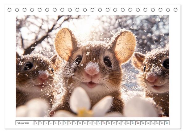 Produktbild: Augen wie Kn&ouml;pfe (Tischkalender 2026 DIN A5 quer), CALVENDO Monatskalender
