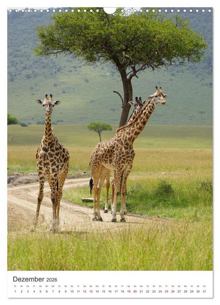 Produktbild: Giraffe - Bemerkenswerte Tiere. (Wandkalender 2026 DIN A3 hoch), CALVENDO Monatskalender