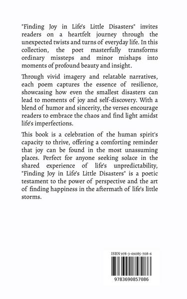 Produktbild: Finding Joy in Life's Little Disasters
