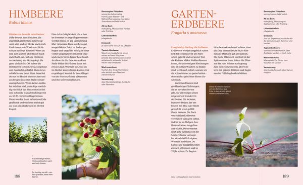 Produktbild: Wie du dein eigenes Saatgut gewinnst &ndash; und so ein kleines St&uuml;ck Welt rettest