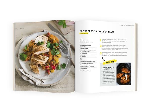 Produktbild: AIR FRYER 100 x Gesund