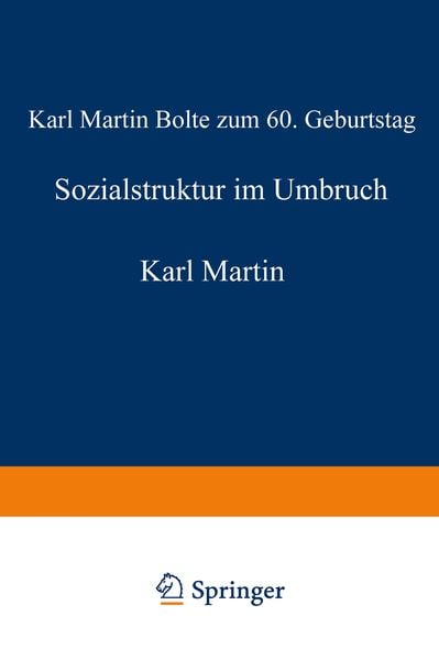 Produktbild: Sozialstruktur im Umbruch