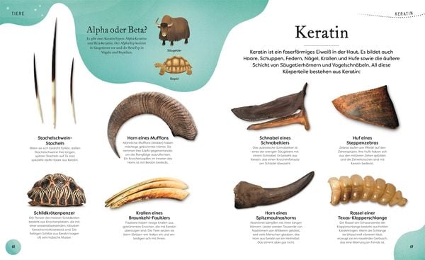 Große und kleine Schätze der Natur. Große und kleine Schätze der Natur