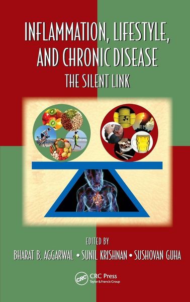 Produktbild: Inflammation, Lifestyle and Chronic Diseases