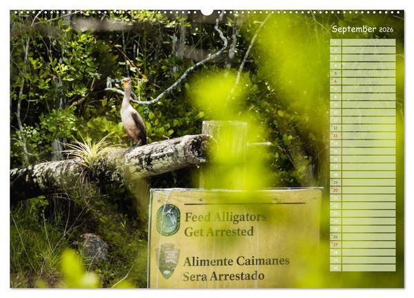 Produktbild: Amerikanische Ostk&uuml;ste (Wandkalender 2026 DIN A2 quer), CALVENDO Monatskalender