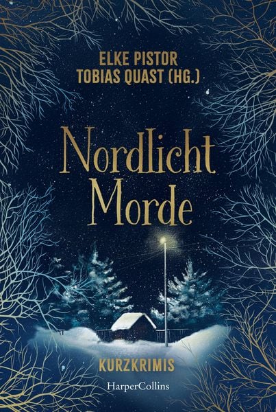 Produktbild: Nordlichtmorde. 20 Kurzkrimis