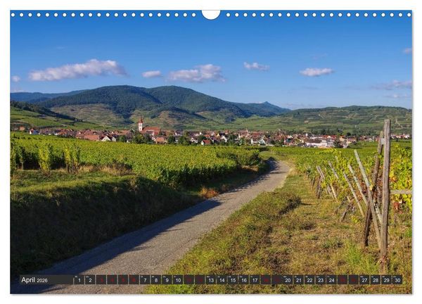 Produktbild: Elsass - Zwischen Rhein und Vogesen (Wandkalender 2026 DIN A3 quer), CALVENDO Monatskalender