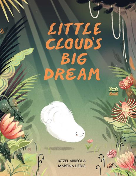 Produktbild: Little Cloud's Big Dream