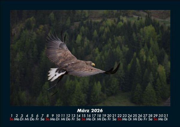 Produktbild: Adler 2026 Fotokalender DIN A5