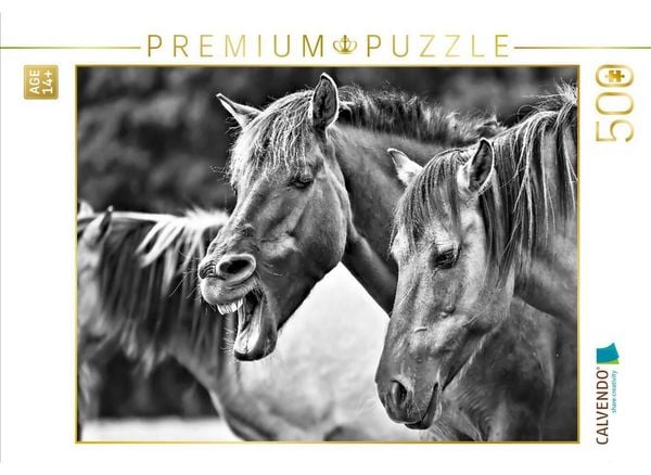 CALVENDO Puzzle Einmal tief durchatmen | 500 Teile Lege-Größe 48 × 36 cm Foto-Puzzle für Erwachsene