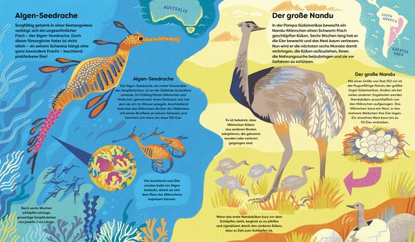 Produktbild: Wildes Zusammenleben