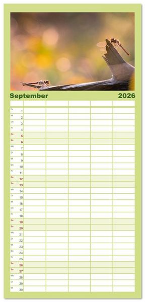 Produktbild: Familienplaner 2026 - Naturwunder Libellen mit 5 Spalten (Wandkalender, 21 x 45 cm) CALVENDO