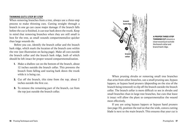 Produktbild: How to Prune Trees & Shrubs